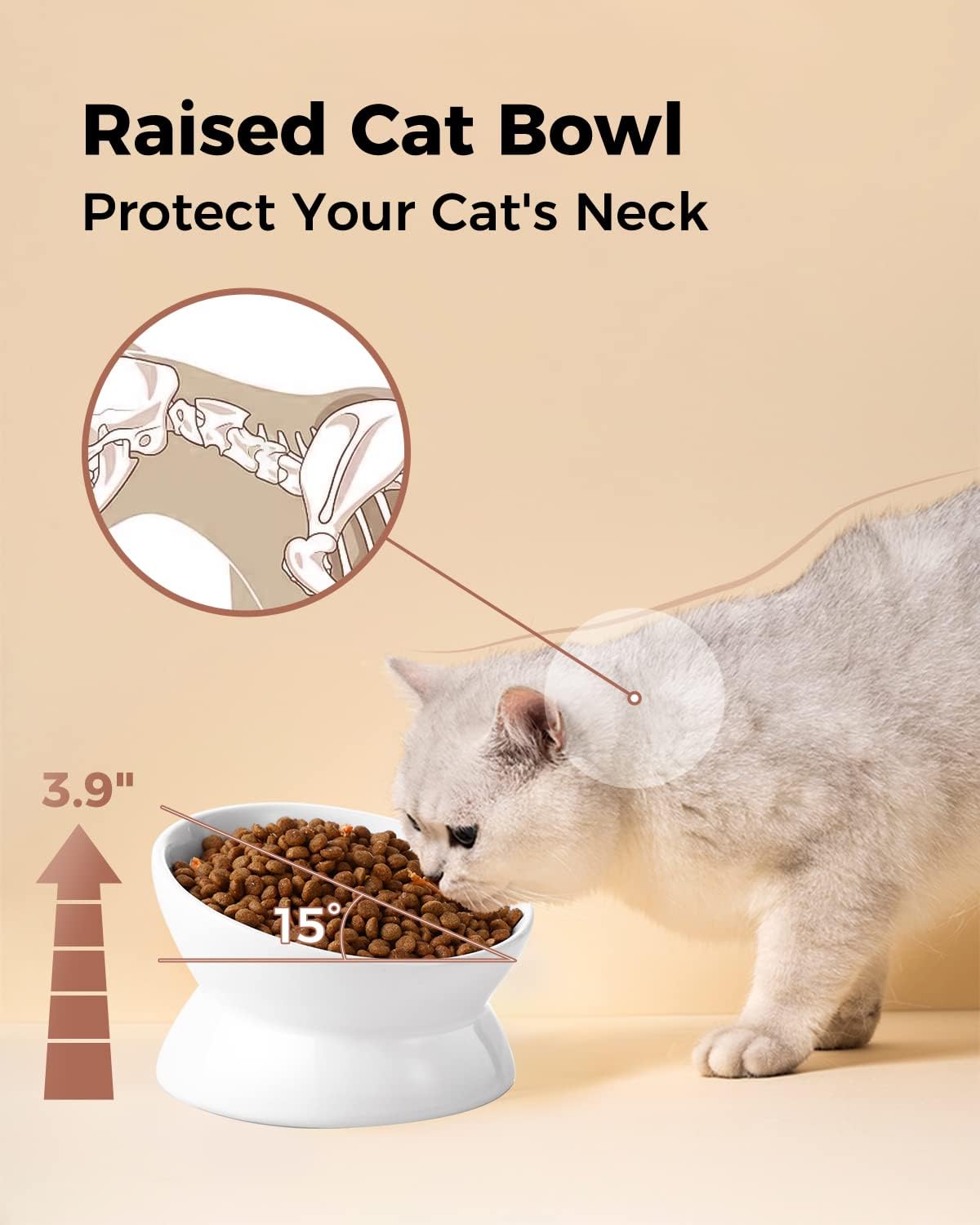 LoeJan Elevated Cat Food Bowl, 5 Oz Ceramic Raised and Tilted Water Bowl, Anti Vomiting and Protect Pets' Spines Dishes for Small Dog, Fat Faced Cat, Kitten (White, 1 Pack) : LoeJan: Pet Supplies - Image 6