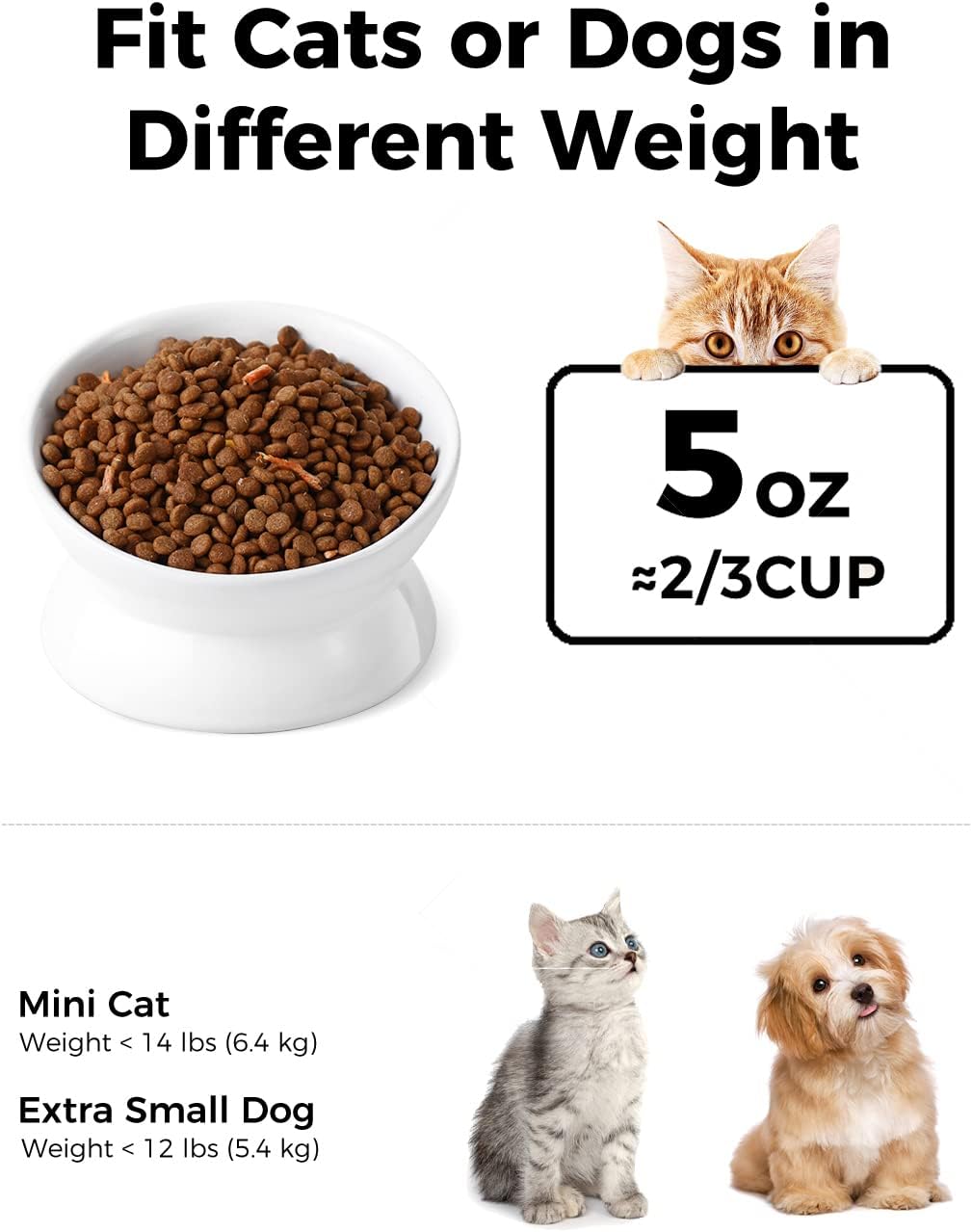 LoeJan Elevated Cat Food Bowl, 5 Oz Ceramic Raised and Tilted Water Bowl, Anti Vomiting and Protect Pets' Spines Dishes for Small Dog, Fat Faced Cat, Kitten (White, 1 Pack) : LoeJan: Pet Supplies - Image 5