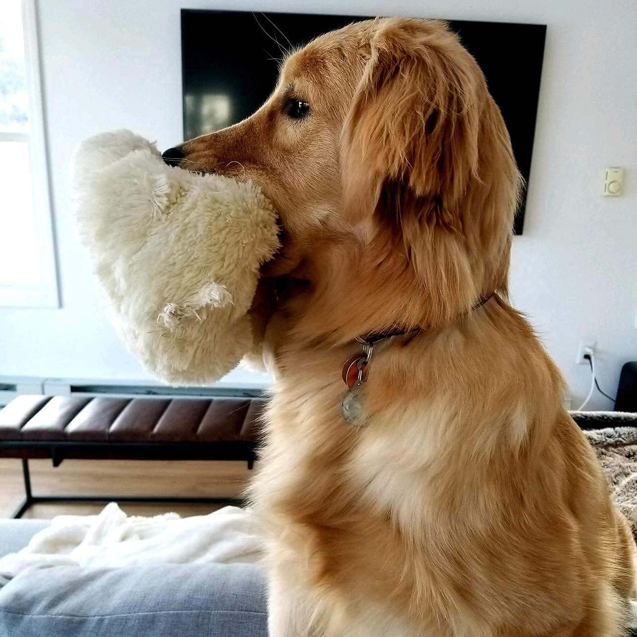 Original Snuggle Puppy Toys - Heartbeat Puppy for Dogs - Pet Anxiety Relief and Calming Aid - Comfort Dog Toys for Behavioral Training : Pet Supplies - Image 3