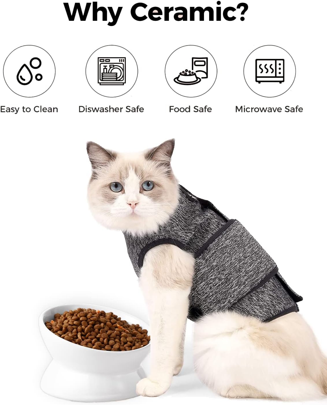 LoeJan Elevated Cat Food Bowl, 5 Oz Ceramic Raised and Tilted Water Bowl, Anti Vomiting and Protect Pets' Spines Dishes for Small Dog, Fat Faced Cat, Kitten (White, 1 Pack) : LoeJan: Pet Supplies - Image 2