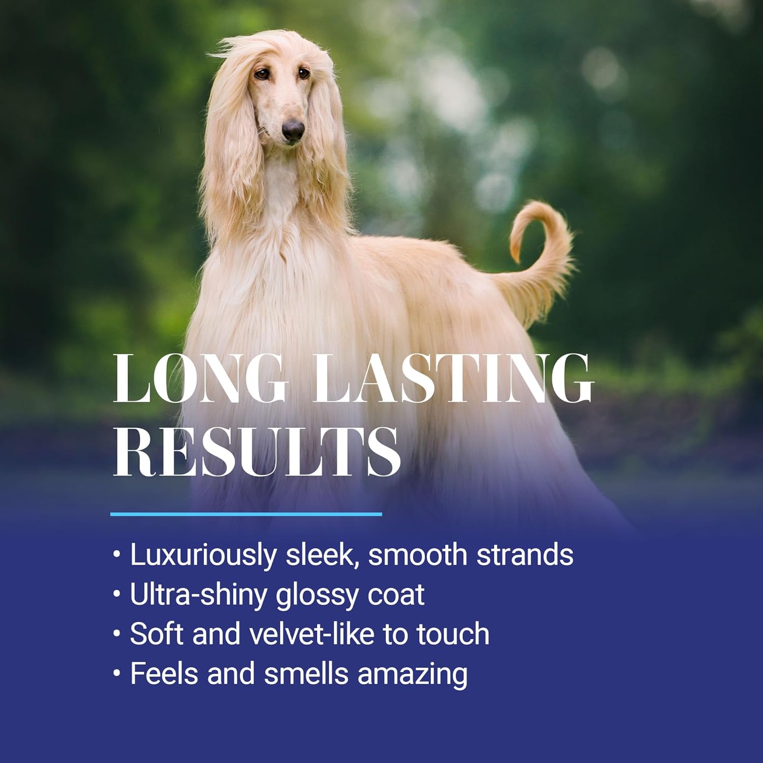 Chris Christensen Ice on Ice Detangling Dog Conditioner, Groom Like a Professional, Dematts, Moisturizes, Creates Long Lasting Silkiness, All Coat Types, Made in USA, 16oz : Pet Supplies - Image 5