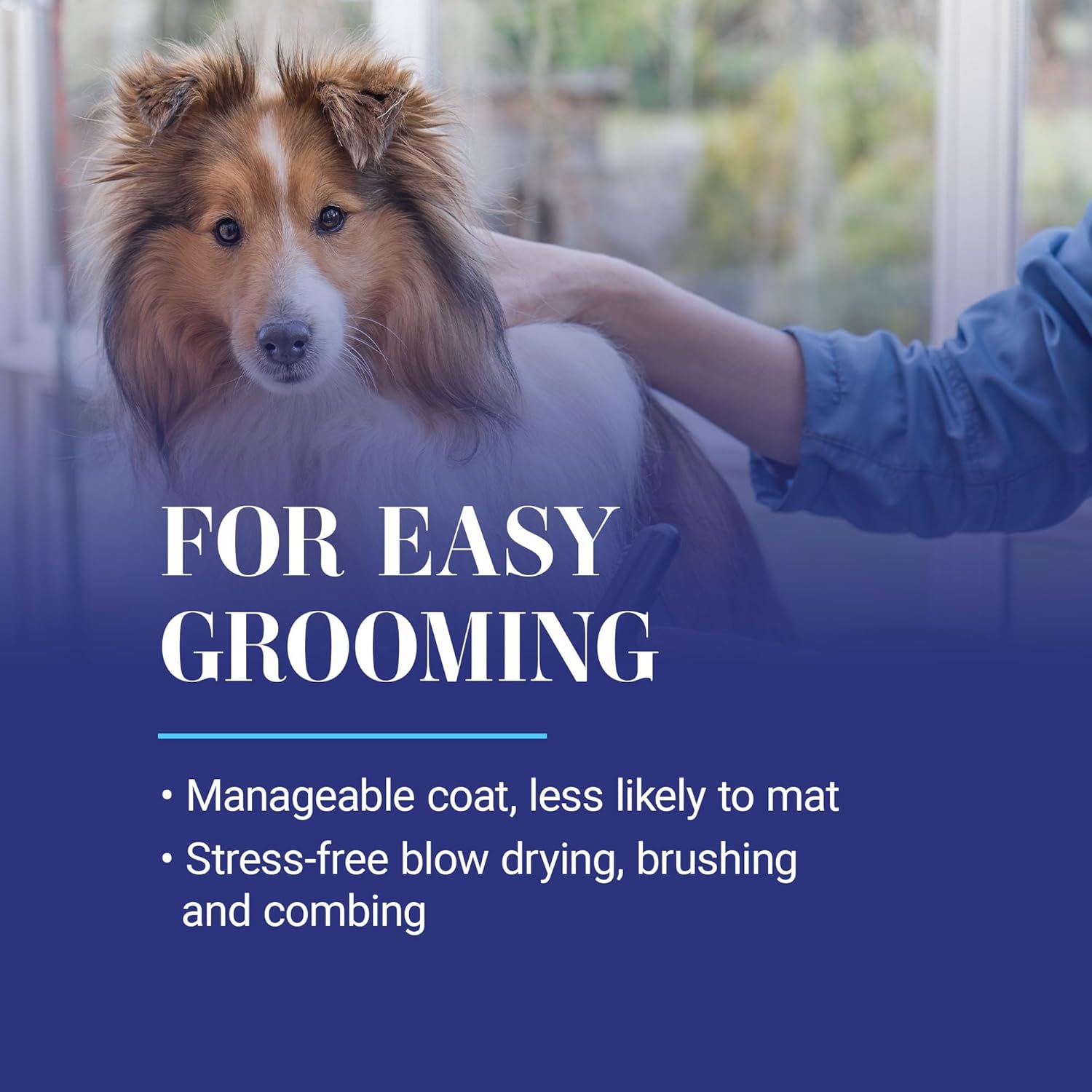 Chris Christensen Ice on Ice Detangling Dog Conditioner, Groom Like a Professional, Dematts, Moisturizes, Creates Long Lasting Silkiness, All Coat Types, Made in USA, 16oz : Pet Supplies - Image 6
