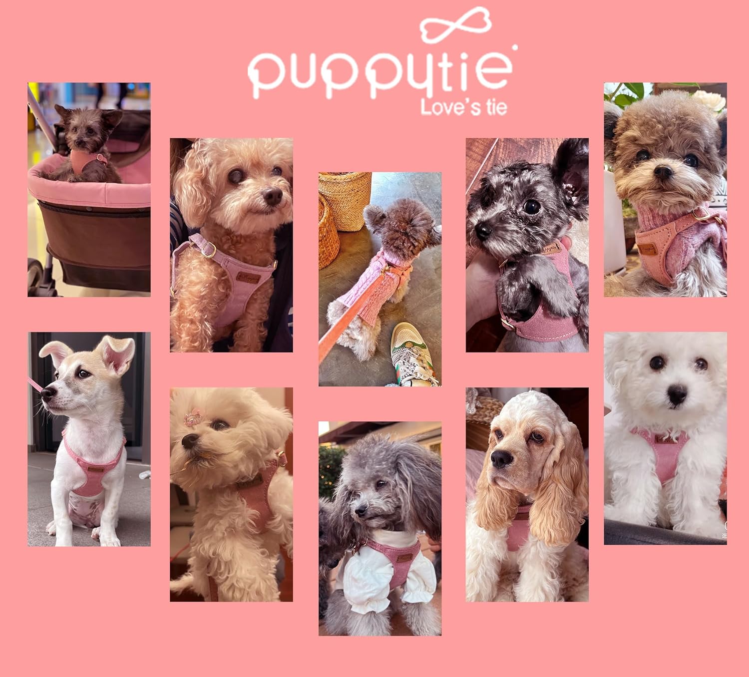 Puppytie No Pull Small Dog Harness with Multifunction Dog Leash, Lightweight Soft Adjustable No Choke Escape Proof Pet Harness Vest, Pink : Pet Supplies - Image 2