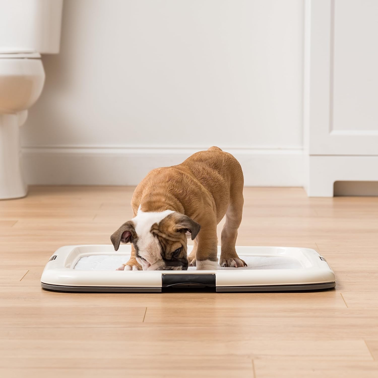 IRIS USA Pee Pad Holder - For Potty Training Regular Sized Dog & Puppy Pee Pads, Secured Latches, Non-Skid Feet, Leak Protection, Fits 22"x22" Pad or Larger, Square, Dark Gray : Pet Supplies - Image 5