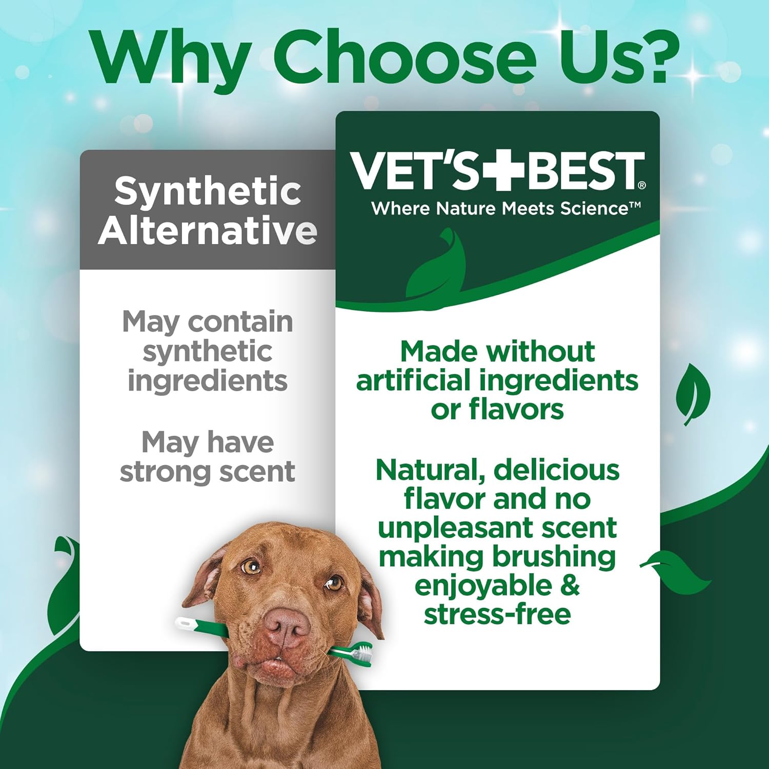 Vet’s Best Enzymatic Dog Toothpaste – Vet Formulated Dental Gel for Teeth Cleaning, Fresh Breath, Tartar Control, Plaque Remover & Oral Hygiene for Dogs, 3.5 oz : Pet Dental Care Supplies : Pet Supplies - Image 8