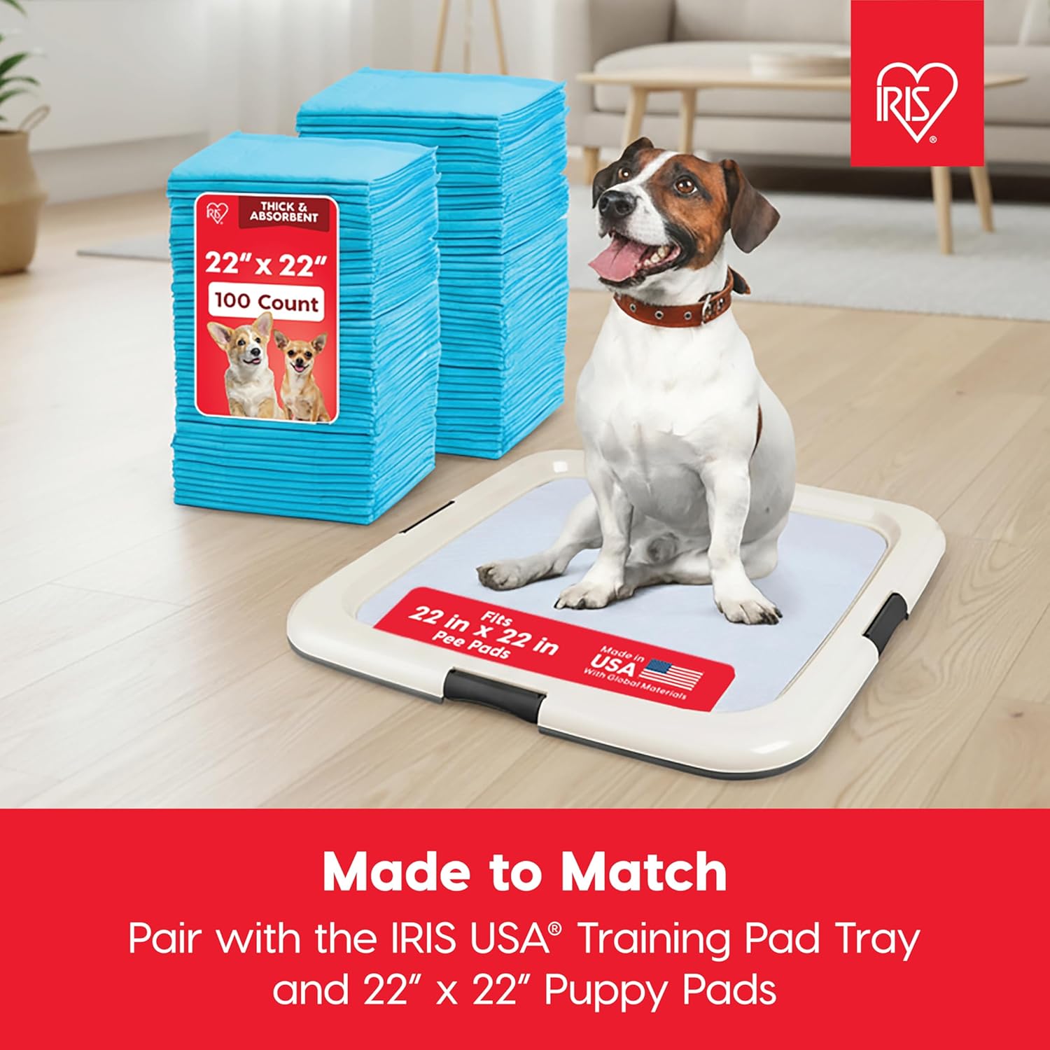 IRIS USA Pee Pad Holder - For Potty Training Regular Sized Dog & Puppy Pee Pads, Secured Latches, Non-Skid Feet, Leak Protection, Fits 22"x22" Pad or Larger, Square, Dark Gray : Pet Supplies - Image 3
