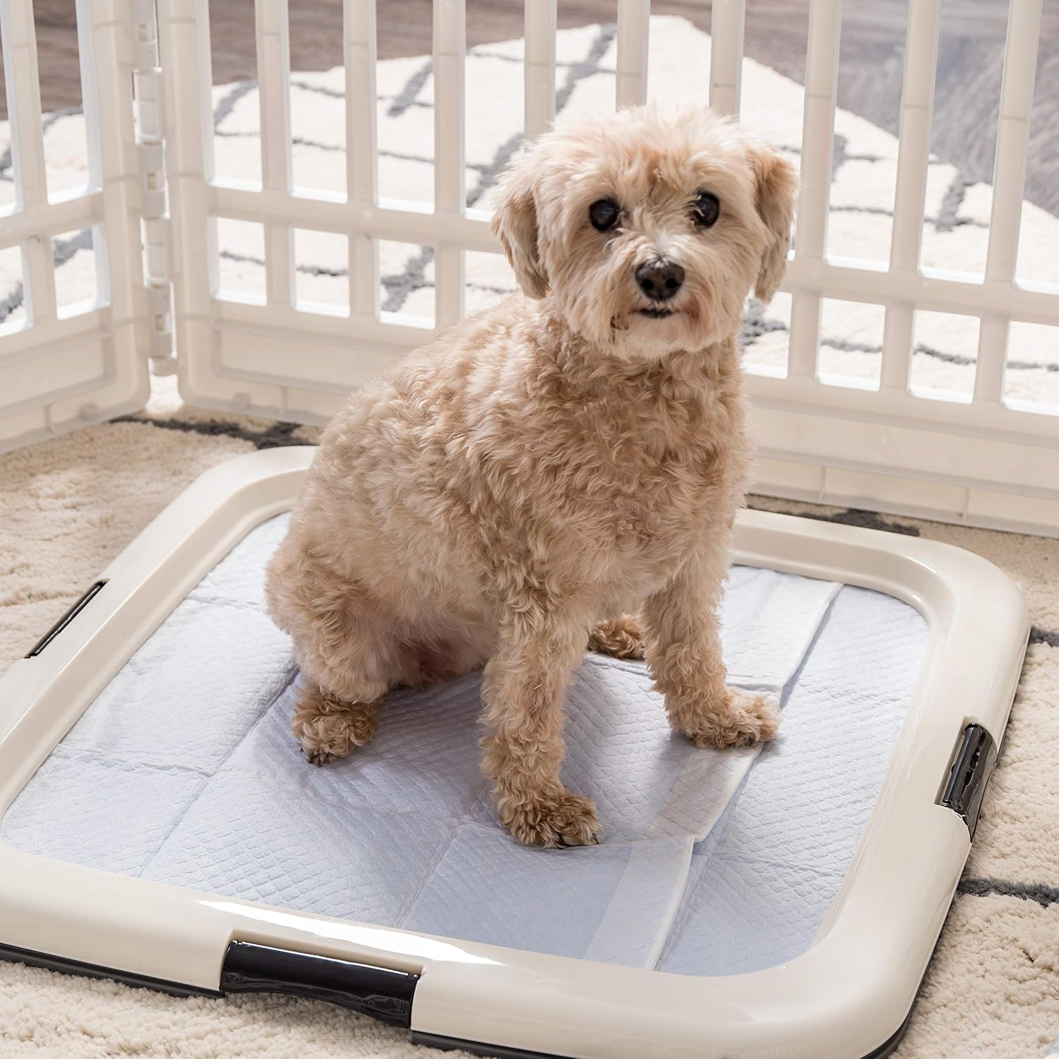 IRIS USA Pee Pad Holder - For Potty Training Regular Sized Dog & Puppy Pee Pads, Secured Latches, Non-Skid Feet, Leak Protection, Fits 22"x22" Pad or Larger, Square, Dark Gray : Pet Supplies - Image 11