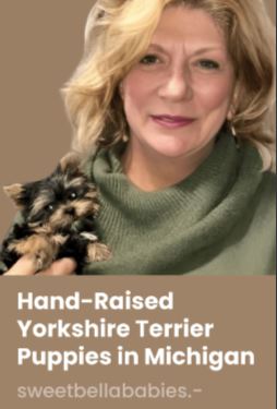 Baxter & Bella's - SWEET BELLA BABIES