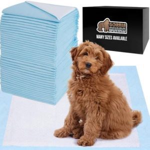 Gorilla Guard Disposable Puppy Pads, 100 Count 22x22 in, 5 Layer Pee Pads for Dogs, Absorbent Diaper Changing Pad, Dog Potty Training Supplies, Quick Dry Pet Housebreaking Essentials for Puppies : Pet Supplies