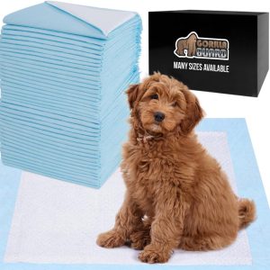 Gorilla Guard Disposable Puppy Pads, 100 Count 22x22 in, 5 Layer Pee Pads for Dogs, Absorbent Diaper Changing Pad, Dog Potty Training Supplies, Quick Dry Pet Housebreaking Essentials for Puppies : Pet Supplies