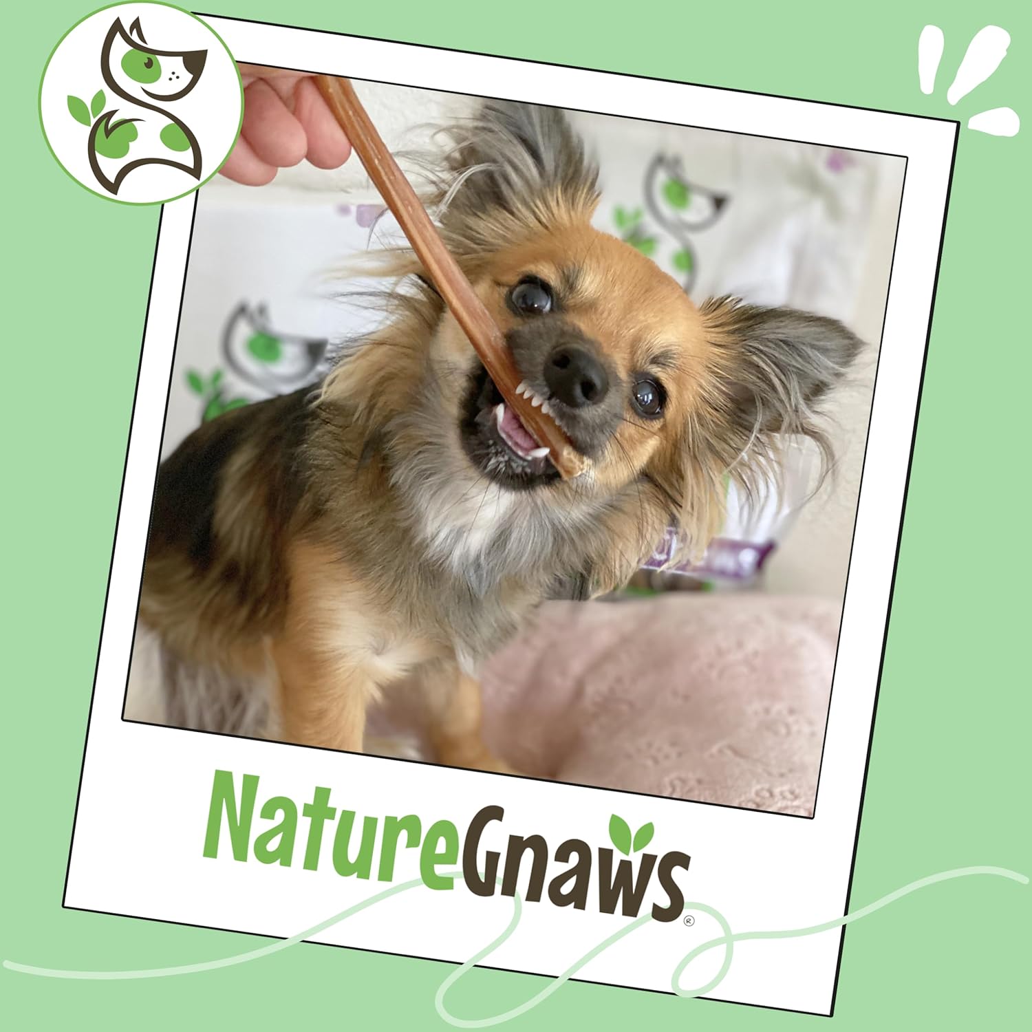 Nature Gnaws Extra Thin Bully Sticks for Small Dogs 5-6" (10 Count) - Long Lasting for Light Chewers and Puppies - Natural Beef Dog Chew Bones : Pet Supplies - Image 6
