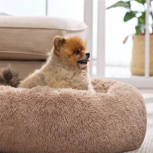 Bedsure Calming Cat Beds for Indoor Cats - Small Cat Bed Washable 20 inches, Anti-Slip Round Fluffy Plush Faux Fur Pet Bed, Fits up to 15 lbs Pets, Camel : Pet Supplies