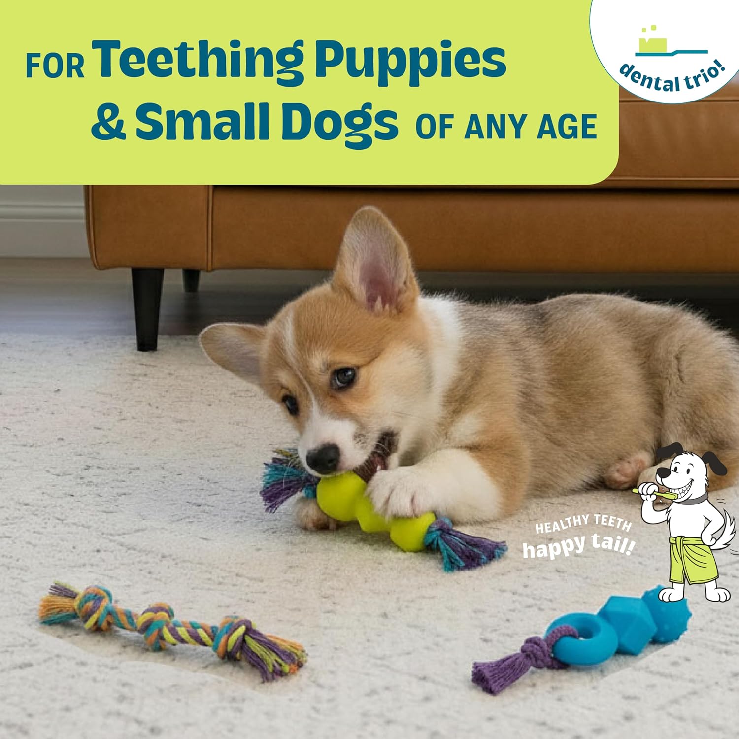 Pet Supplies Outward Hound Mini Dentachew Dental Dog Chew Toy - 3 Pack - Great Size for Small Dogs and Puppies : - Image 6