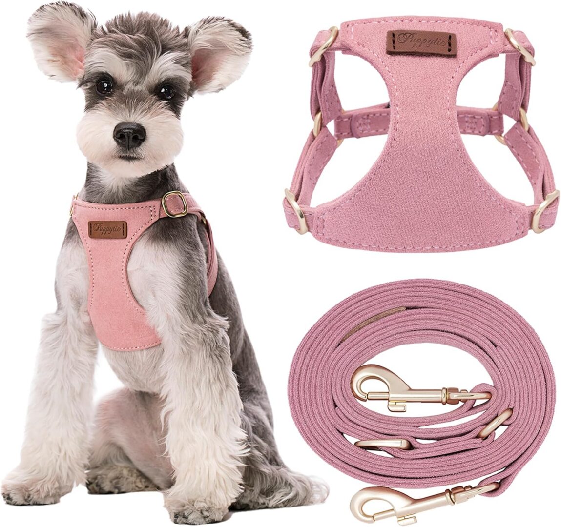 Dog wearing pink harness with matching leash.