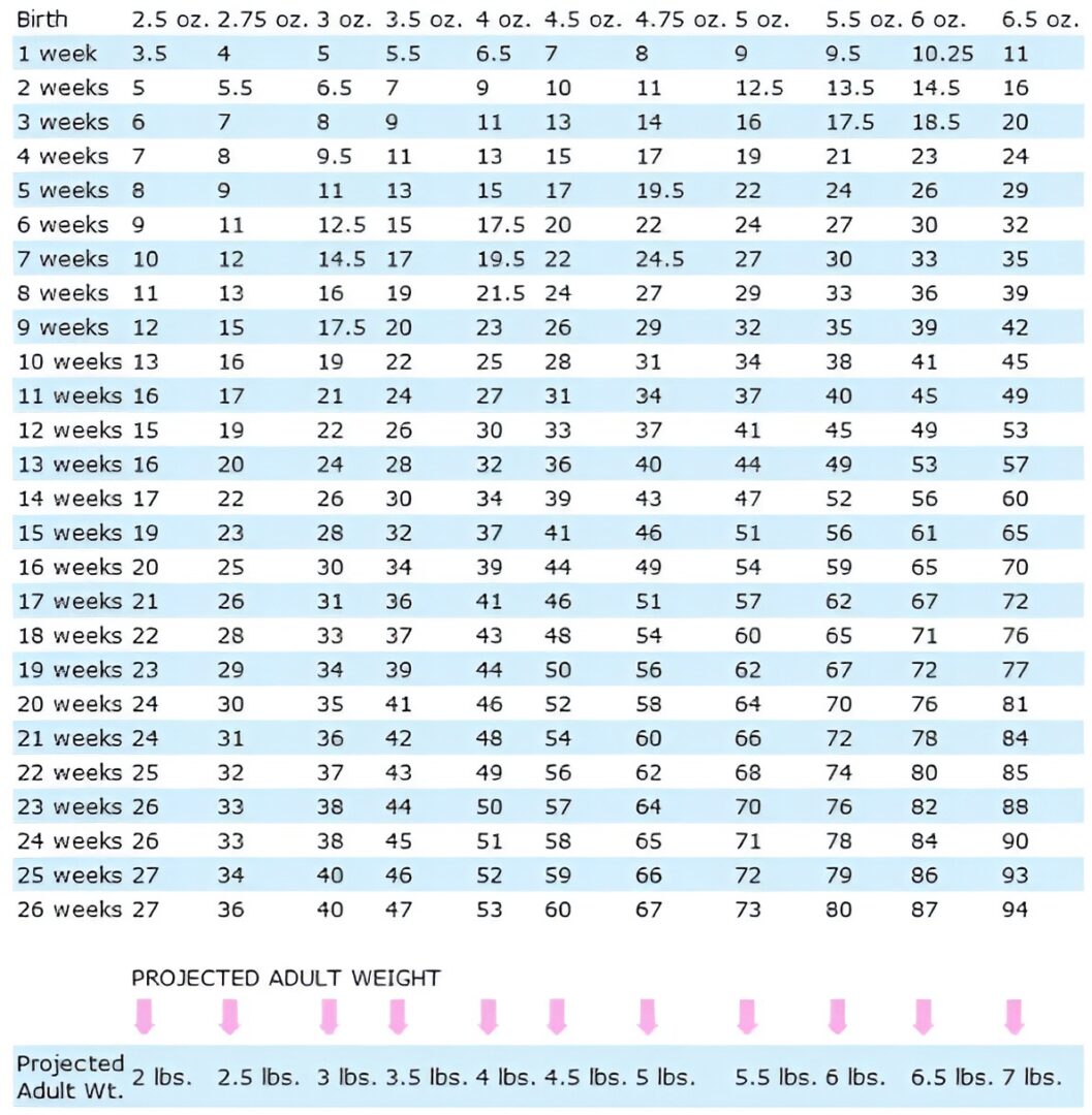 Puppy weight chart with projected adult weight.